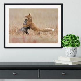 Two Foxes Playing In The Grass Framed Print (Color: Natural/No White Edging, size: 18" x 12" / 48cm x 30cm (approx))