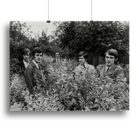 The Moody Blues in a field Canvas Print or Poster (Type: Standard Framed Canvas Print, size: X-Large (28" x 20"))