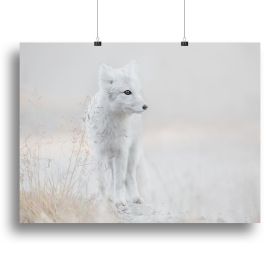 Fox Looking around Canvas Print or Poster (Type: Poster Print, size: 40" x 26" / 100cm x 65cm (approx))