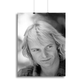 Sting in profile Canvas Print or Poster (Type: Poster Print, size: 3X-Large (40" x 26"))