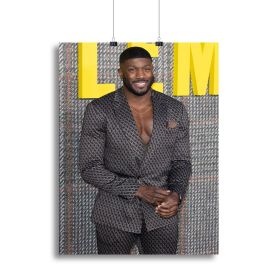 Toby Olubi at The Gentleman UK TV Premiere Canvas Print or Poster (Type: Poster Print, size: 16" x 12" / 42cm x 30cm approx)