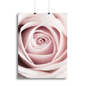 Pink Rose No 1 Canvas Print or Poster (Type: Poster Print, size: 12" x 8" / 30cm x 20cm (approx))