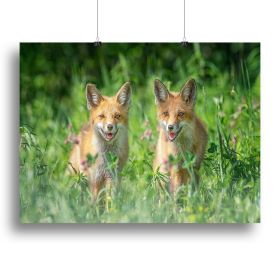Foxes In Sprint Canvas Print or Poster (Type: Standard Framed Canvas Print, size: 24" x 16" / 60cm x 40cm (approx))