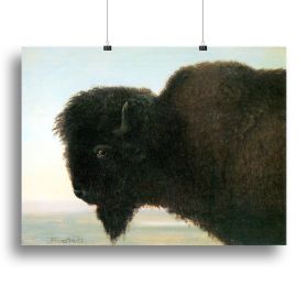 Buffalo Head by Bierstadt Canvas Print or Poster (Type: Poster Print, size: 28" x 20" / 70cm x 50cm (approx))