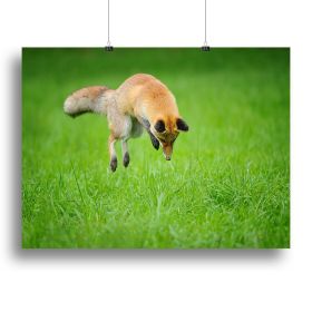 Red fox on hunt Canvas Print or Poster (Type: Poster Print, size: 32" x 24" / 80cm x 60cm (approx))