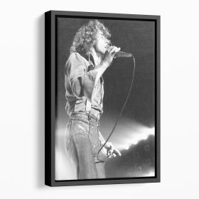 Roger Daltrey on stage Floating Framed Canvas (Color: Black, size: 36" x 24" / 90cm x 60cm (approx))